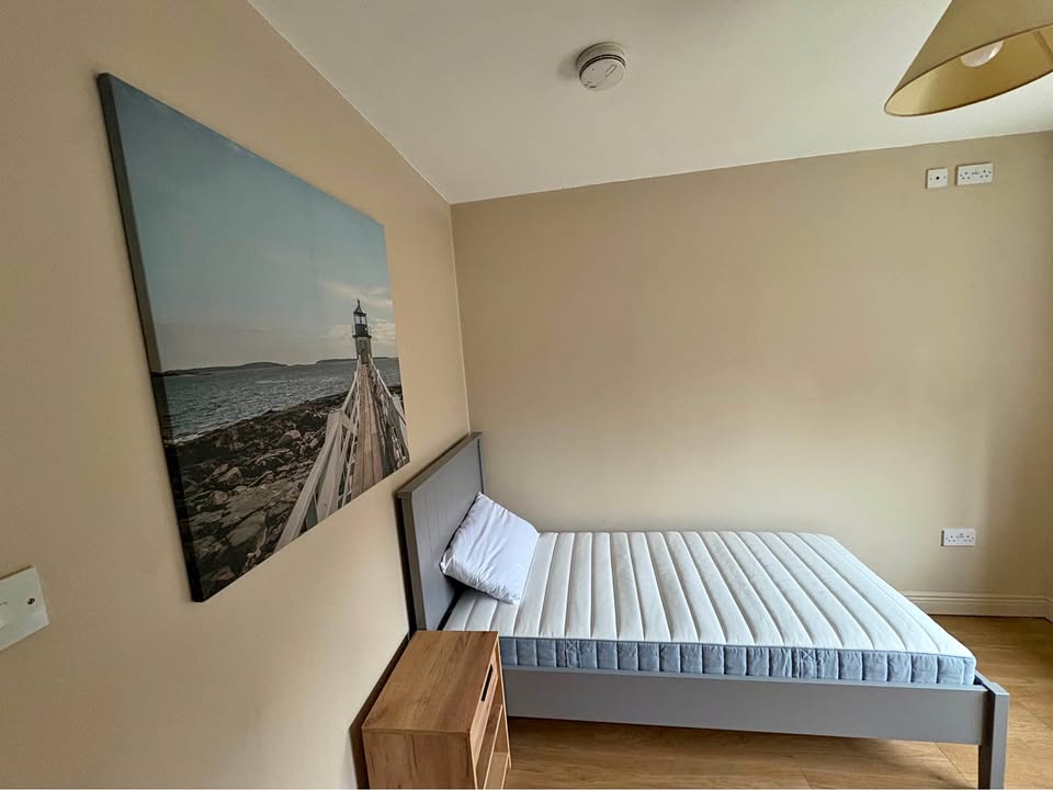 Single Room for Rent