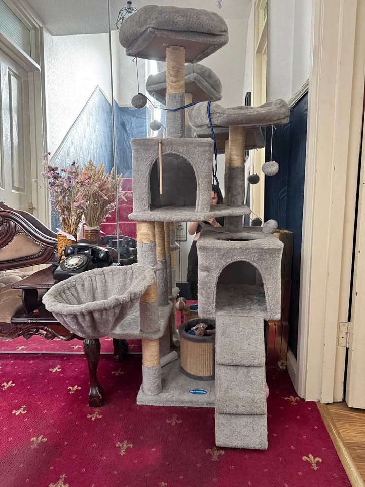 Cat mansion