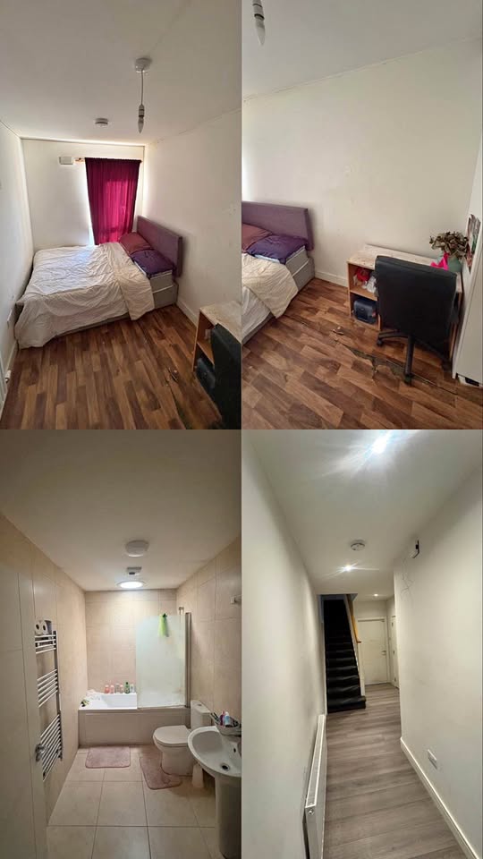 Single room for rent