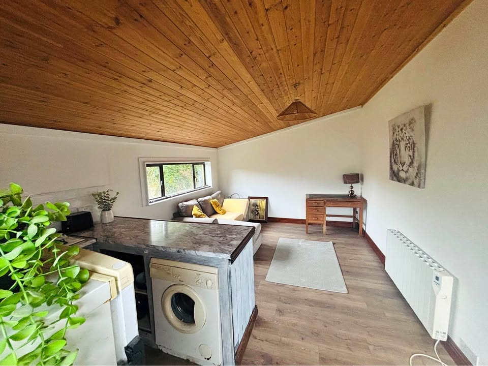 1 bedroom apartment to rent