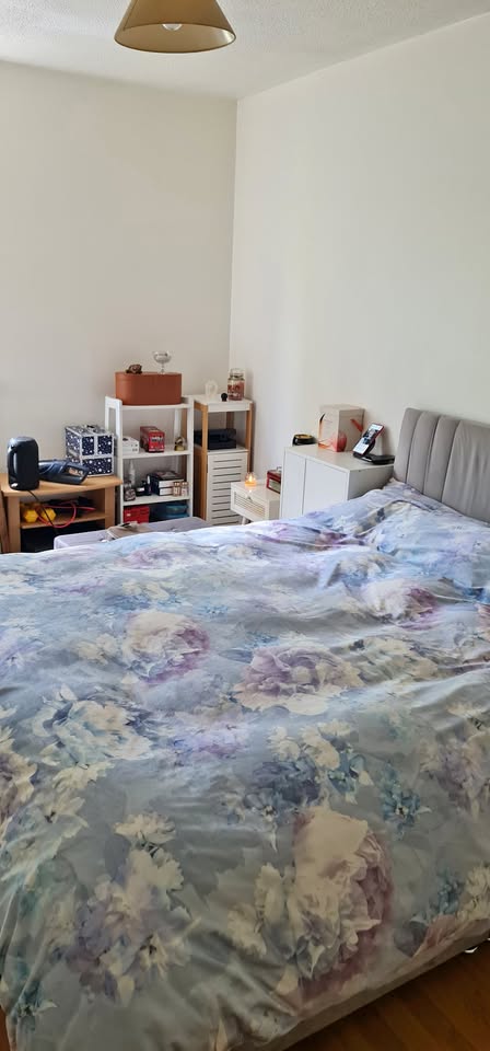 Master bedroom with attached bathroom for rent in Dublin 4