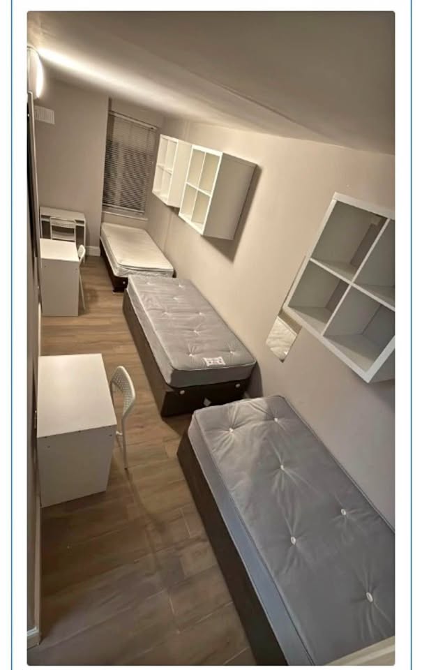 Female room to rent