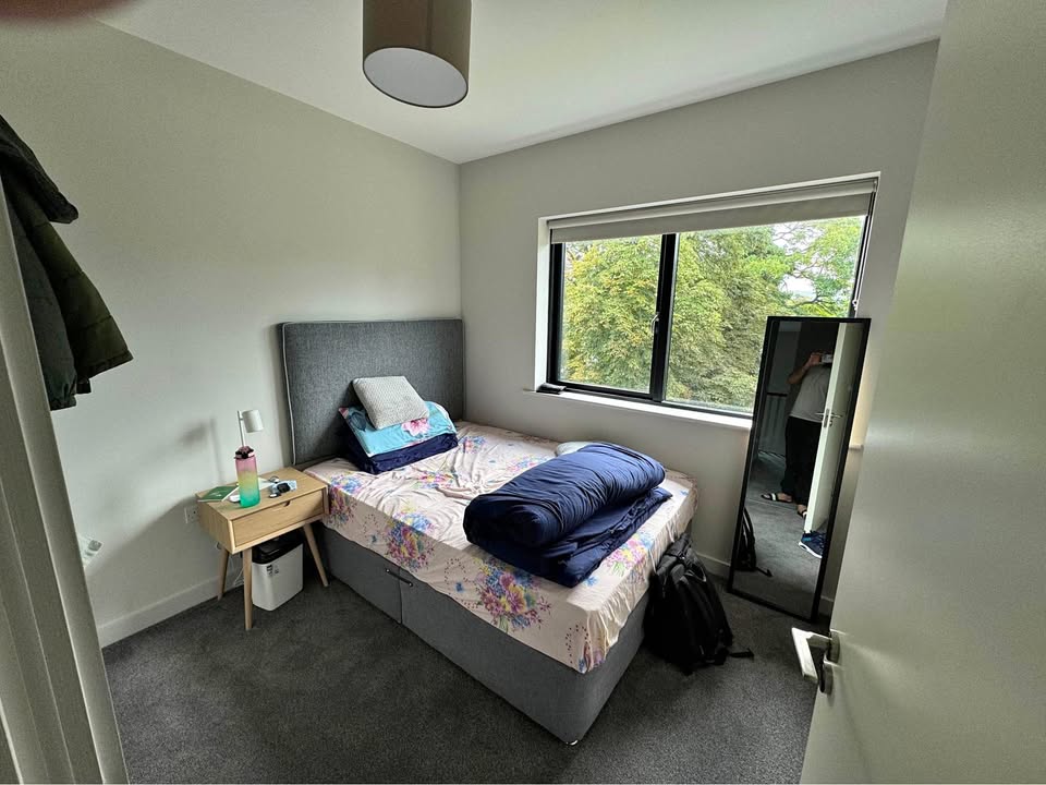 Private room for rent