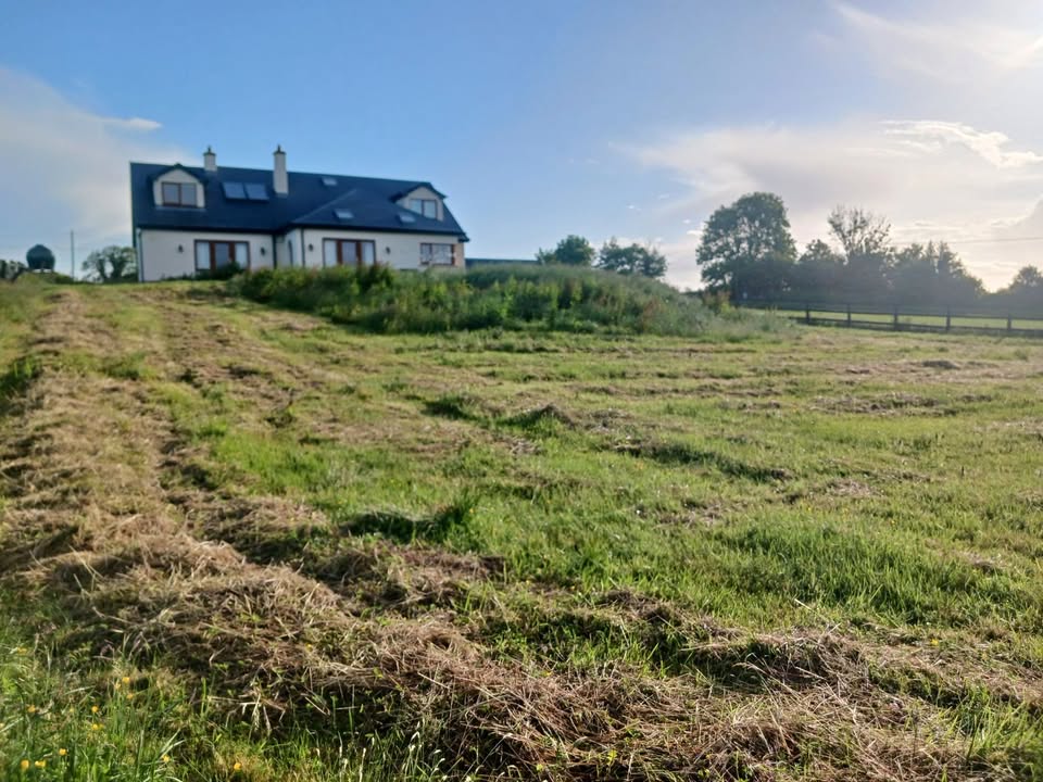 Athenry room for rent