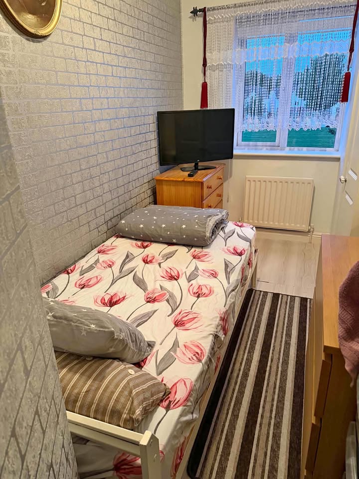 Single room to let