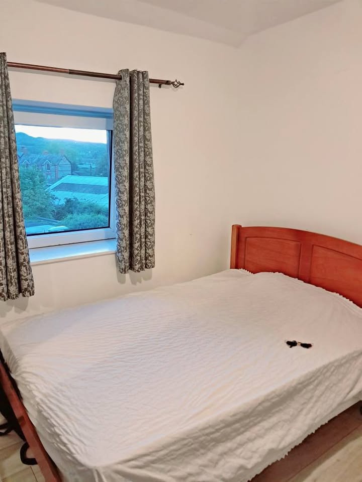 Looking for a Clean and Respectful roommate